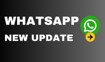 WhatsApp New Update